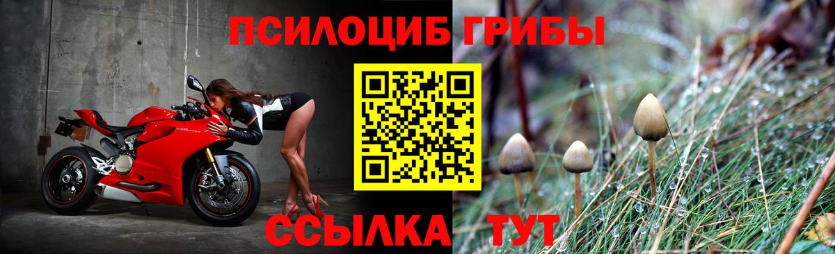 Псилоцибиновые грибы прущие грибы  Вход с VPN  Кимовск 